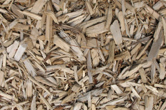 biomass boilers Skaill